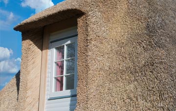 Deepfields thatch roof disadvantages