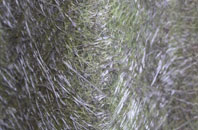 Deepfields fibreglass roof work